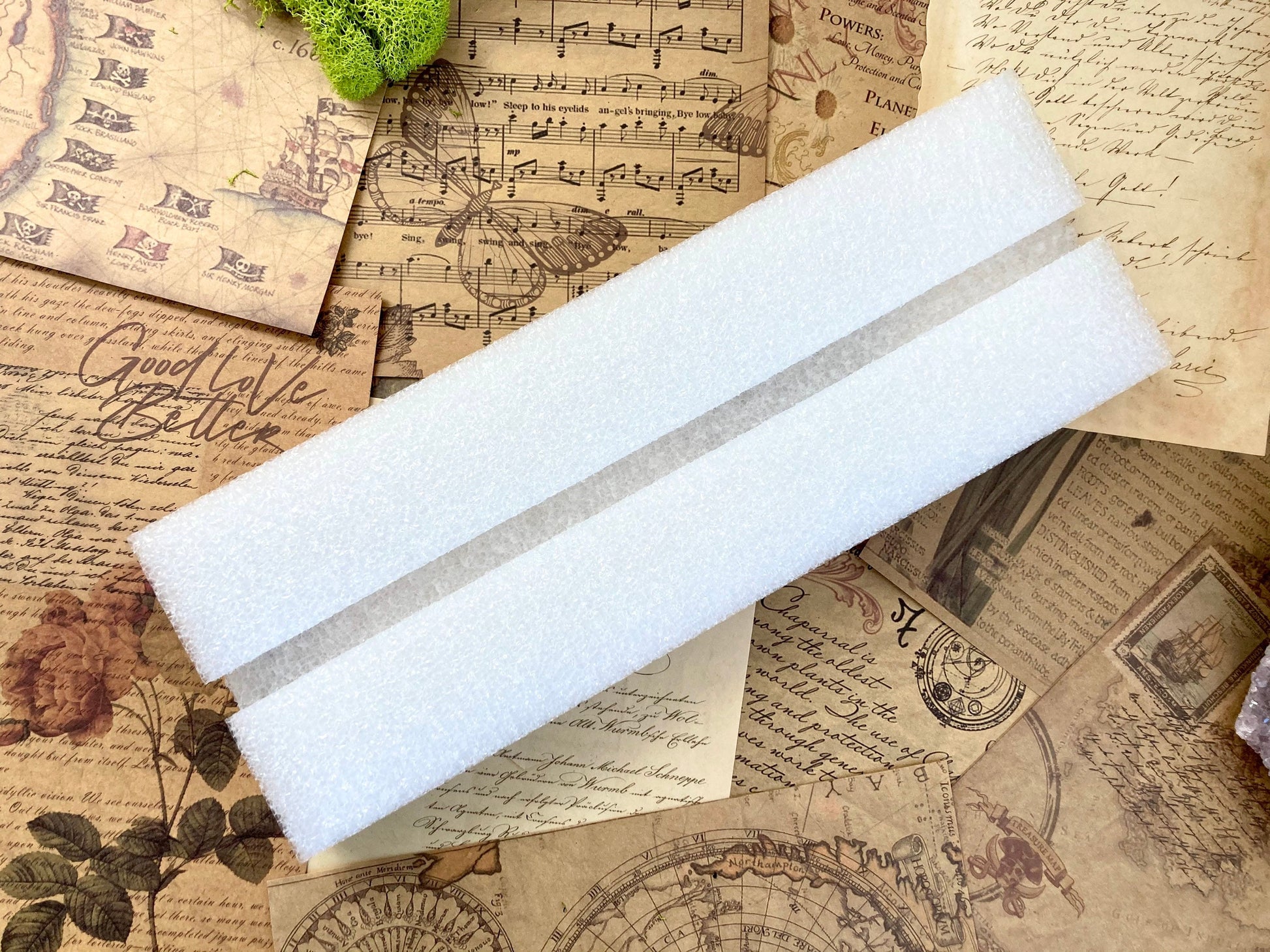 Butterfly Mounting - Spreading Board - Insect Pinning Board - Entomology - Pin Your Own Insects