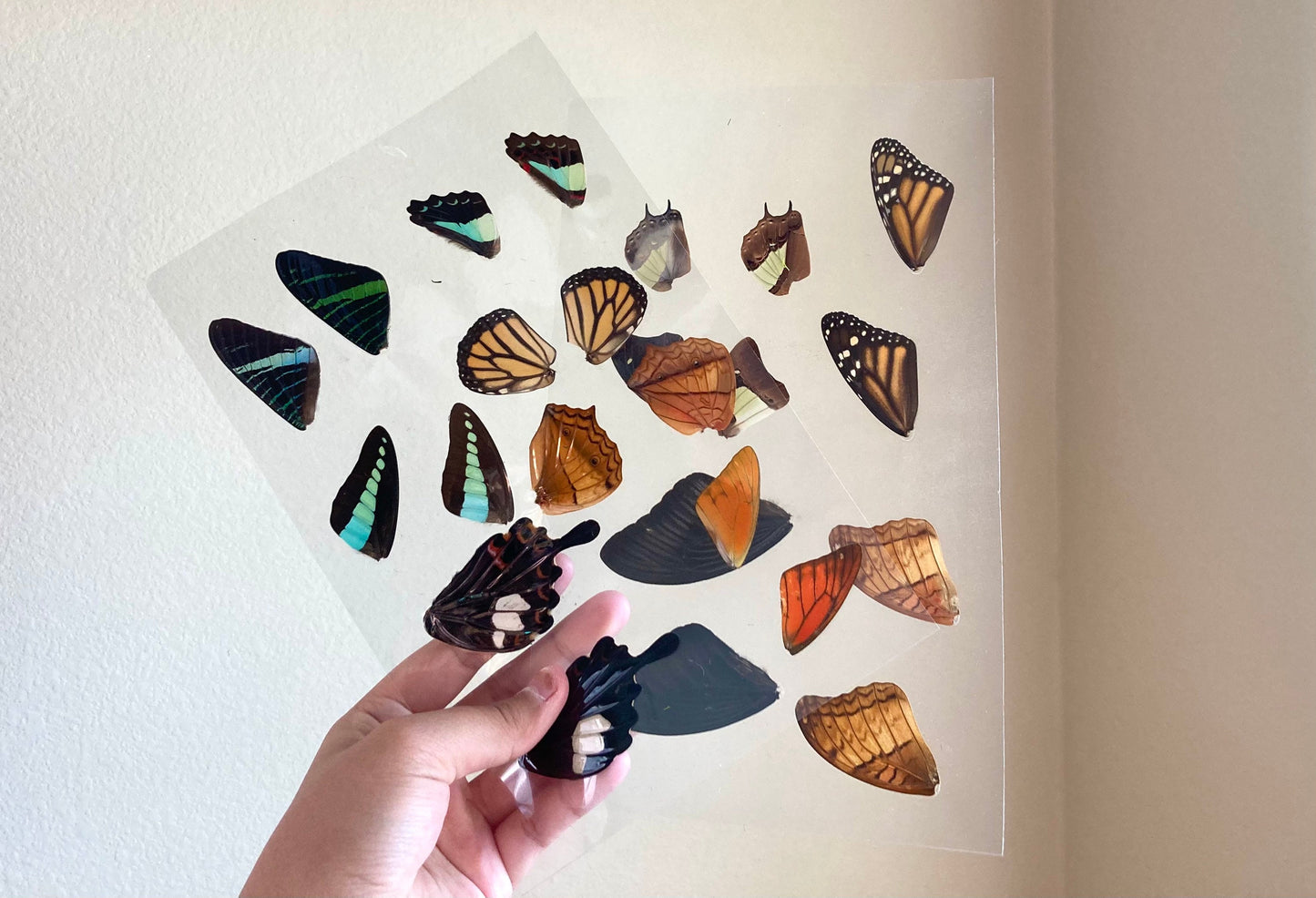 Laminated Sheets of Real Butterfly Wings, Real Butterfly Wings, Resin Art, Wing Art
