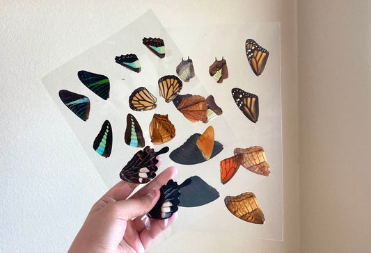 Laminated Sheets of Real Butterfly Wings, Real Butterfly Wings, Resin Art, Wing Art
